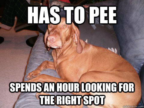 Has to pee Spends an hour looking for the right spot  Scumbag Dexter