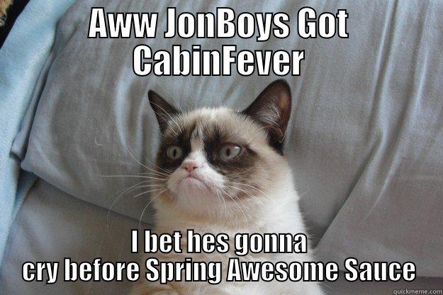 AWW JONBOYS GOT CABINFEVER I BET HES GONNA CRY BEFORE SPRING AWESOME SAUCE Grumpy Cat