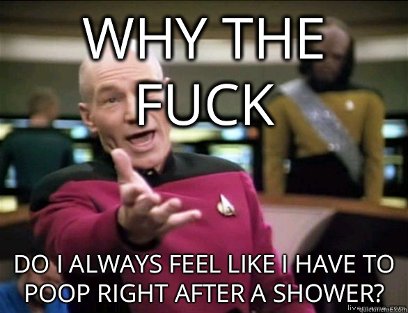Why the fuck do I always feel like I have to poop right after a shower?  Annoyed Picard HD