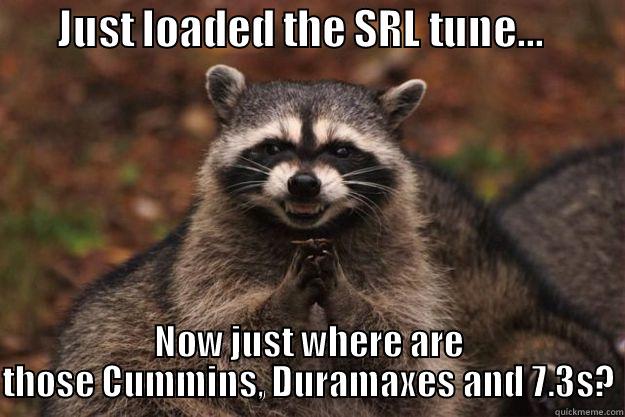        JUST LOADED THE SRL TUNE...           NOW JUST WHERE ARE THOSE CUMMINS, DURAMAXES AND 7.3S? Evil Plotting Raccoon