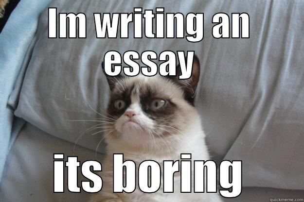 IM WRITING AN ESSAY ITS BORING Grumpy Cat