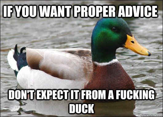 If you want proper advice Don't expect it from a fucking duck  Actual Advice Mallard