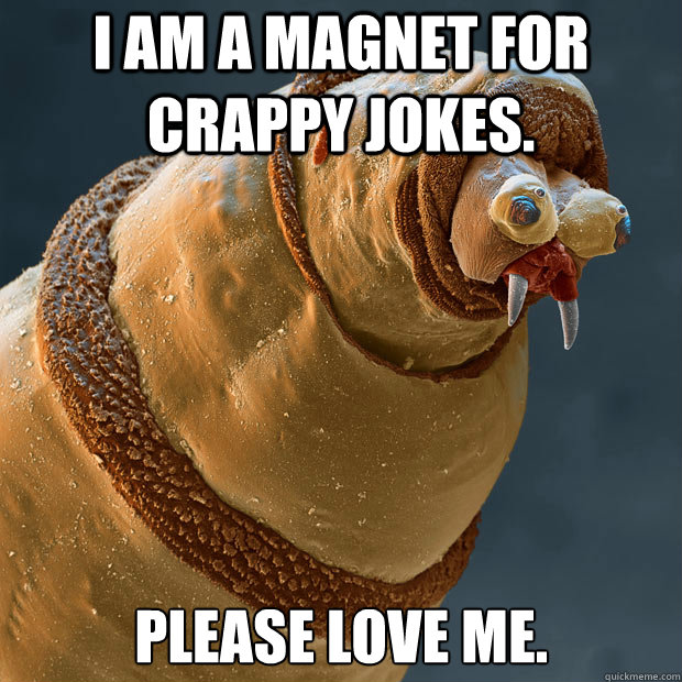 I AM A MAGNET FOR CRAPPY JOKES. PLEASE LOVE ME. - I AM A MAGNET FOR CRAPPY JOKES. PLEASE LOVE ME.  Derp larva