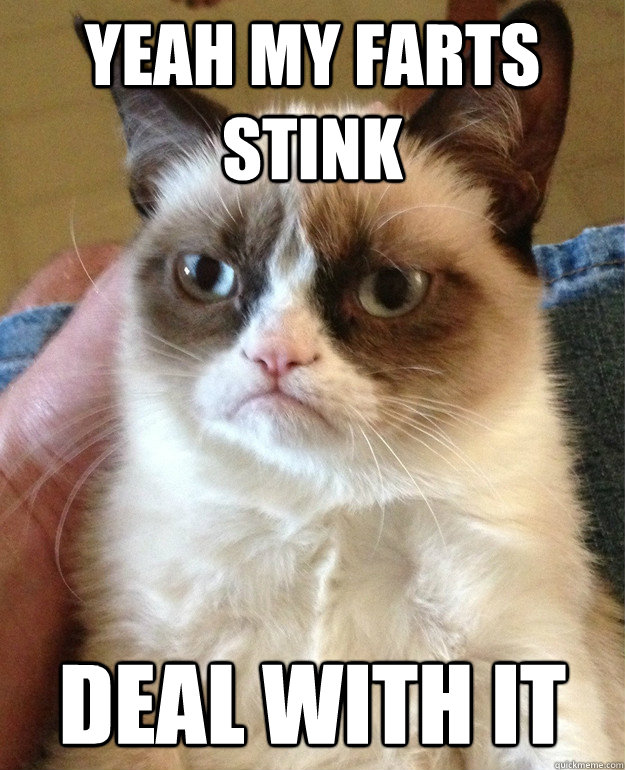 Yeah my farts stink Deal with it - Yeah my farts stink Deal with it  Grumpy Cat