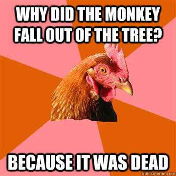 Why did the monkey fall out of the tree? because it was dead  Anti-Joke Chicken
