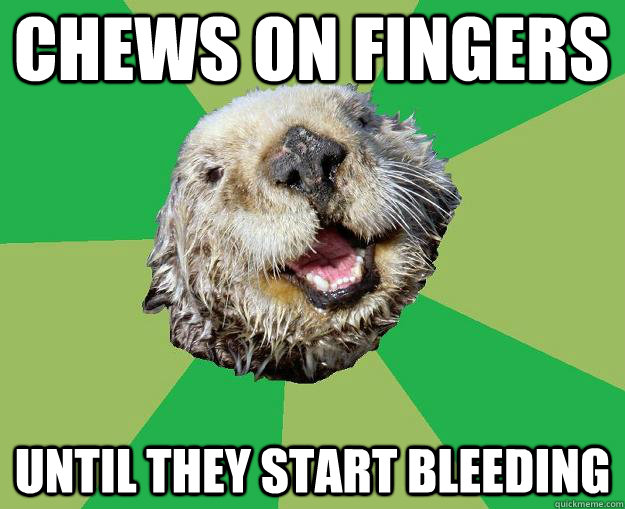 Chews on fingers until they start bleeding - Chews on fingers until they start bleeding  OCD Otter
