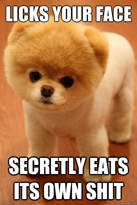 licks your face  secretly eats its own shit - licks your face  secretly eats its own shit  Misc