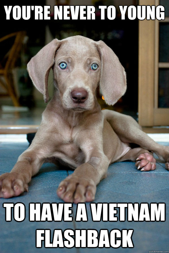 you're never to young to have a vietnam flashback - you're never to young to have a vietnam flashback  Trauma dog