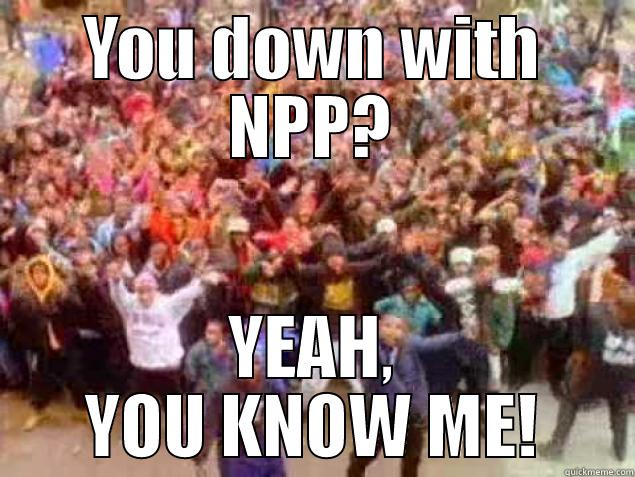 YOU DOWN WITH NPP? YEAH, YOU KNOW ME! Misc
