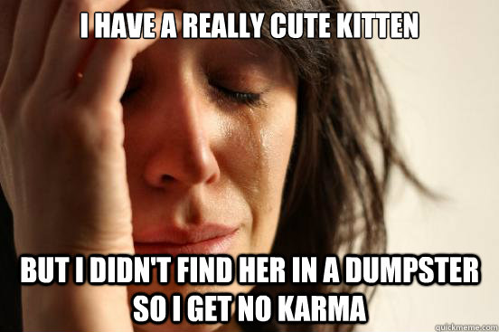 I have a really cute kitten But i didn't find her in a dumpster so I get no karma  First World Problems