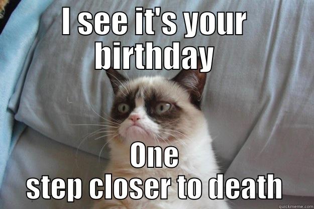 I SEE IT'S YOUR BIRTHDAY ONE STEP CLOSER TO DEATH Grumpy Cat