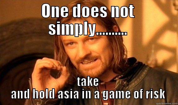 ONE DOES NOT SIMPLY.......... TAKE AND HOLD ASIA IN A GAME OF RISK One Does Not Simply