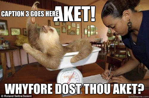 Aket! Whyfore dost thou Aket? Caption 3 goes here  Dramatic Sloth