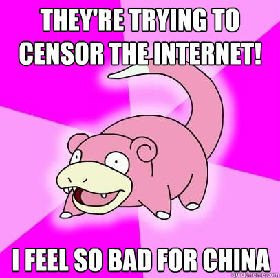 THey're trying to censor the internet! I feel so bad for china  Slowpoke
