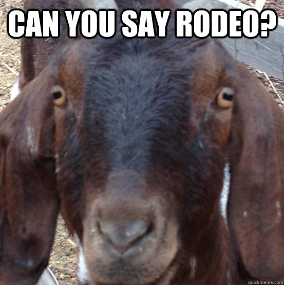 Can you say ROdeo?  Goat rodeo