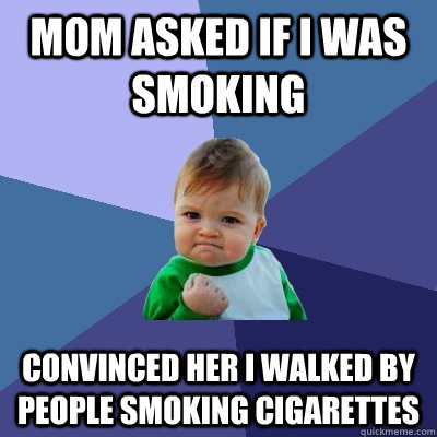 Mom asked if i was smoking convinced her i walked by people smoking cigarettes  Success Kid