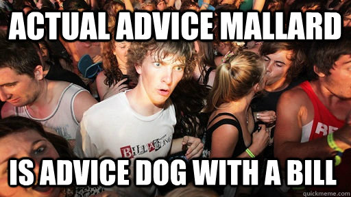 Actual Advice Mallard is advice dog with a bill  Sudden Clarity Clarence
