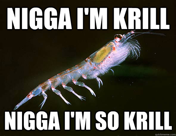 NIGGA I'M KRILL NIGGA I'M SO KRILL  krill