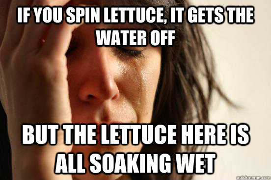 if you spin lettuce, it gets the water off but the lettuce here is all soaking wet  First World Problems