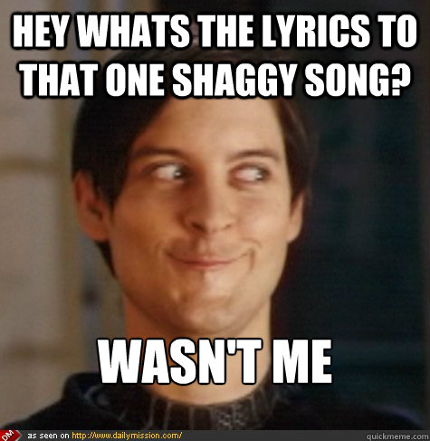 hey whats the lyrics to that one shaggy song? wasn't me  Tobey Maguire Wasnt Me