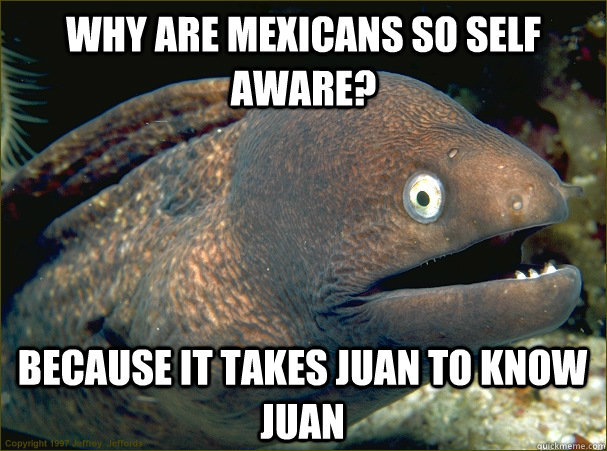 Why are mexicans so self aware? Because it takes juan to know juan - Why are mexicans so self aware? Because it takes juan to know juan  Bad Joke Eel