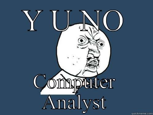 Y U NO COMPUTER ANALYST Y U No