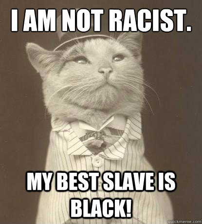 I am not racist. My best slave is black!  Aristocat