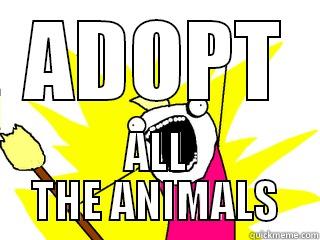 ADOPT ALL THE ANIMALS All The Things