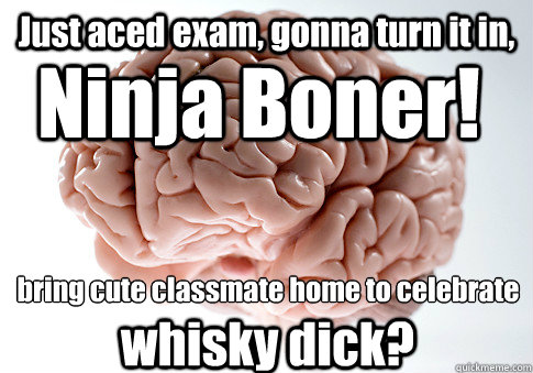 Just aced exam, gonna turn it in,  Ninja Boner! bring cute classmate home to celebrate whisky dick?  Scumbag Brain