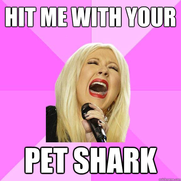 Hit me with your pet shark - Hit me with your pet shark  Wrong Lyrics Christina