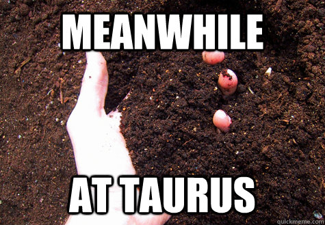 Meanwhile at taurus  cant into pocket sand