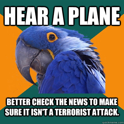 Hear a Plane Better check the news to make sure it isn't a terrorist attack.  Paranoid Parrot