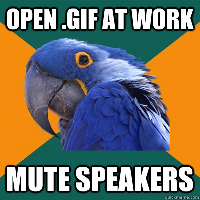 Open .gif at work Mute speakers  Paranoid Parrot