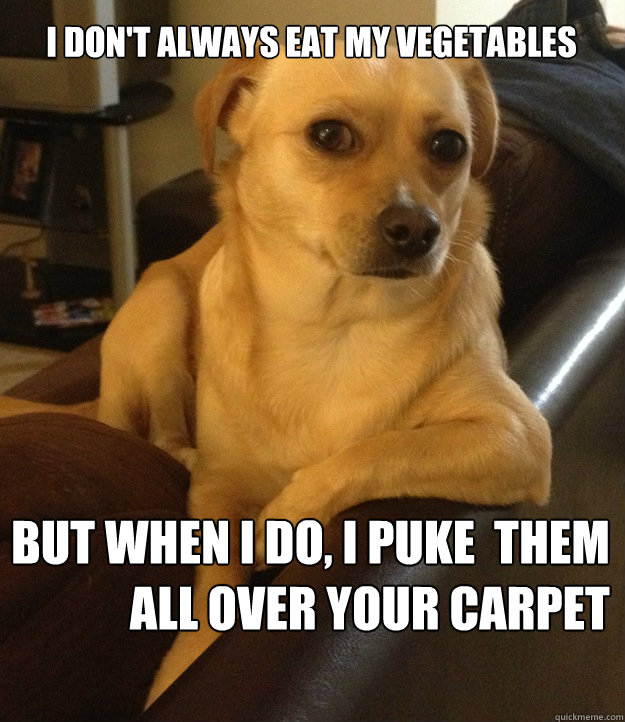 I don't always eat my vegetables
 but when i do, i puke  them
 all over your carpet  