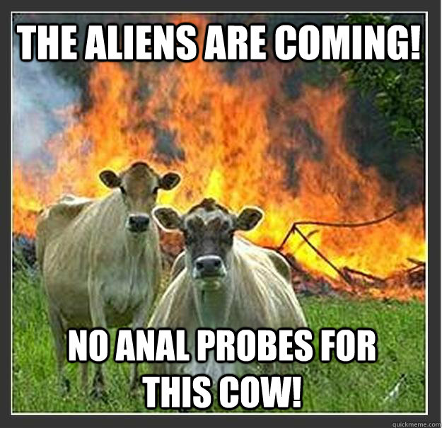 The aliens are coming! No anal probes for this cow!  Evil cows