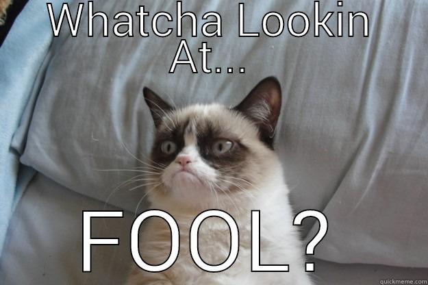 Whatcha Lookin At Fool? - WHATCHA LOOKIN AT... FOOL? Grumpy Cat