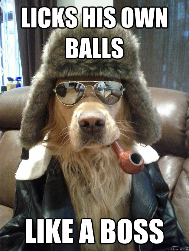 licks his own balls like a boss  Overly Suave Dog