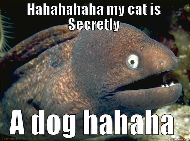 HAHAHAHAHA MY CAT IS SECRETLY A DOG HAHAHA Bad Joke Eel