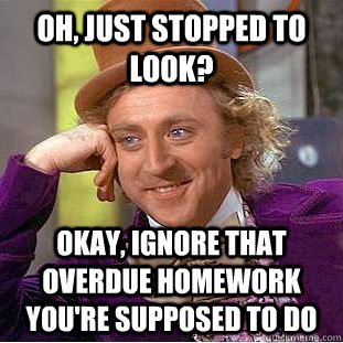 Oh, just stopped to look? Okay, ignore that overdue homework you're supposed to do  Condescending Wonka