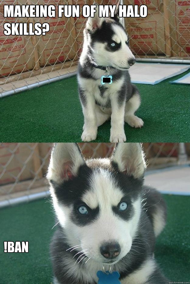 MAKEING FUN OF MY HALO SKILLS? !BAN  Insanity puppy