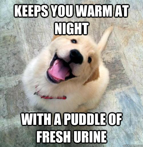 Keeps you warm at night with a puddle of fresh urine - Keeps you warm at night with a puddle of fresh urine  Actual Puppy