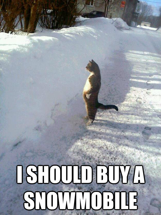  I should buy a snowmobile -  I should buy a snowmobile  1% Northern Cat