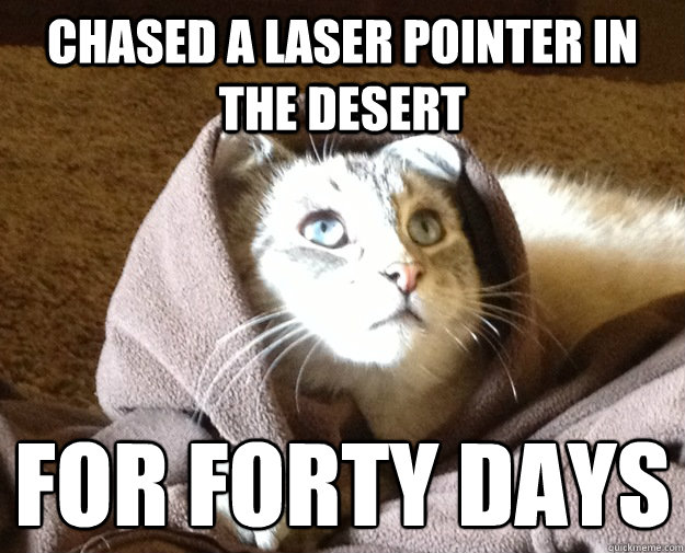 Chased a laser pointer in the desert for forty days
  Kitty Jesus