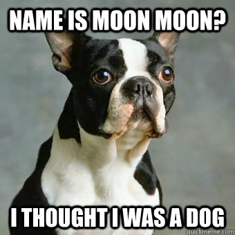 Name is Moon moon? I thought I was a dog - Name is Moon moon? I thought I was a dog  Stupid Dog