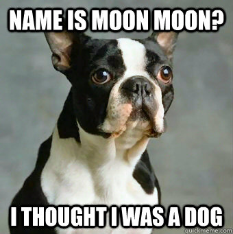 Name is Moon moon? I thought I was a dog  Stupid Dog