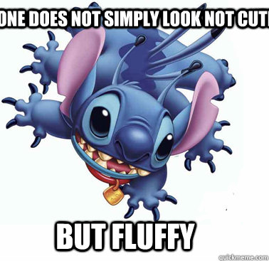 ONe does not simply Look Not cute But Fluffy  Stitch