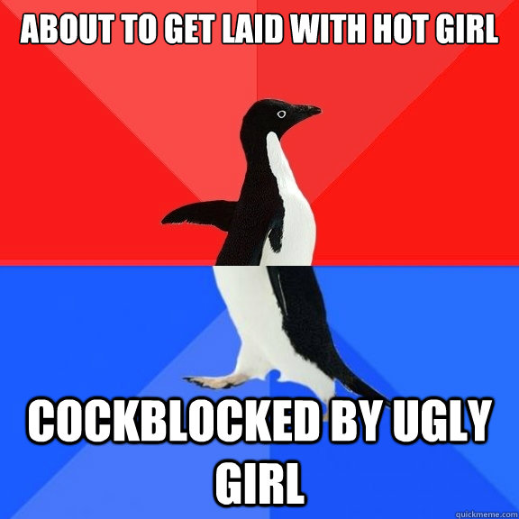 About to get laid with hot girl Cockblocked by ugly girl - About to get laid with hot girl Cockblocked by ugly girl  Socially Awksome Penguin