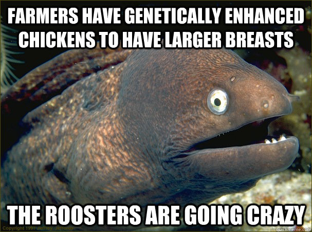 Farmers have genetically enhanced chickens to have larger breasts The roosters are going crazy - Farmers have genetically enhanced chickens to have larger breasts The roosters are going crazy  Bad Joke Eel