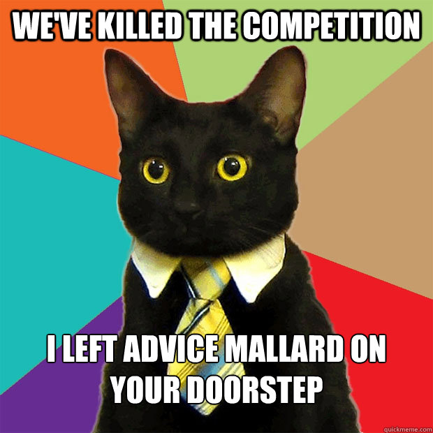 we've killed the competition i left advice mallard on your doorstep  Business Cat