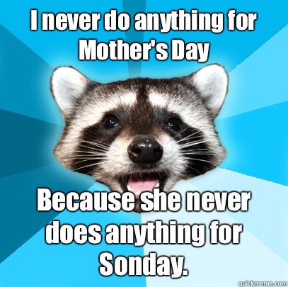 I never do anything for Mother's Day Because she never does anything for Sonday.  Lame Pun Coon